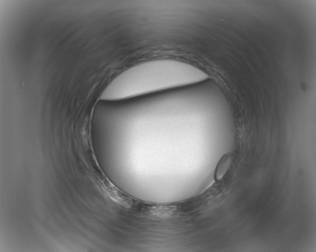 X0000079330373200611171002