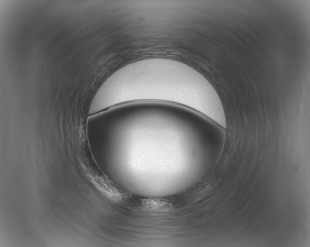 X0000079330380200611171002