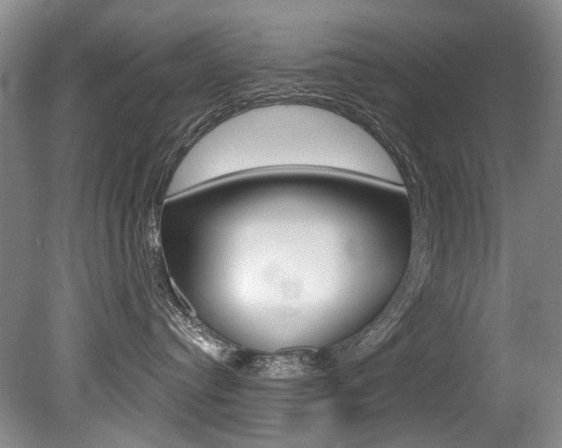 X0000079330384200611171002