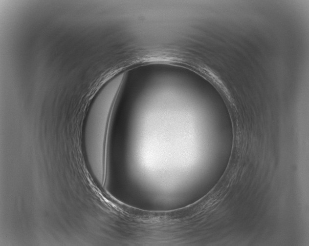 X0000079330385200611171002