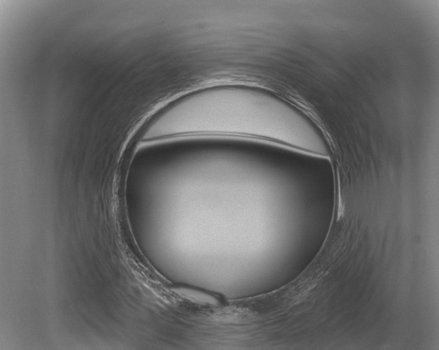 X0000079330387200611171002