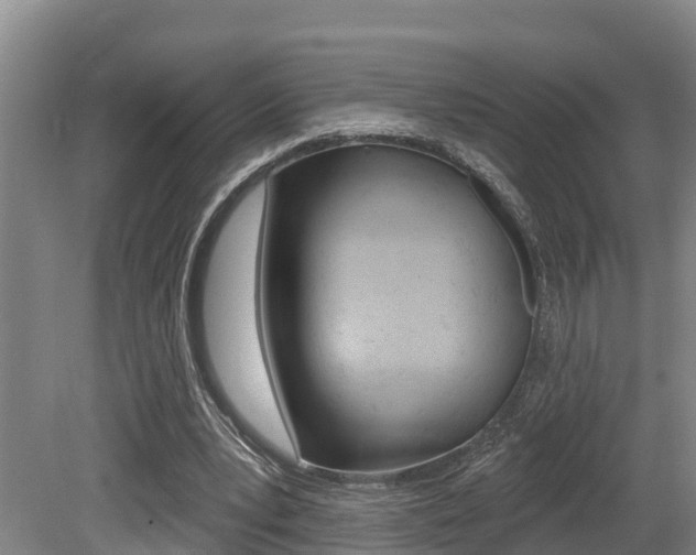 X0000079330391200611171002
