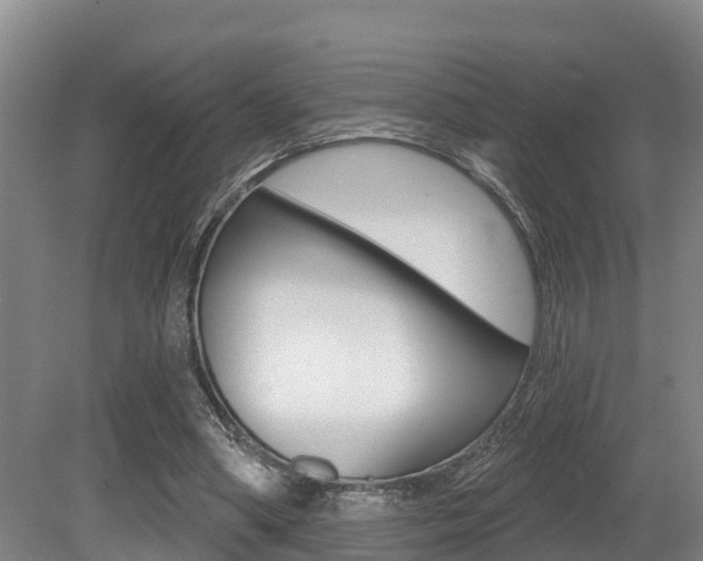 X0000079330394200611171002