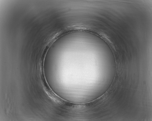 X0000079330398200611171001