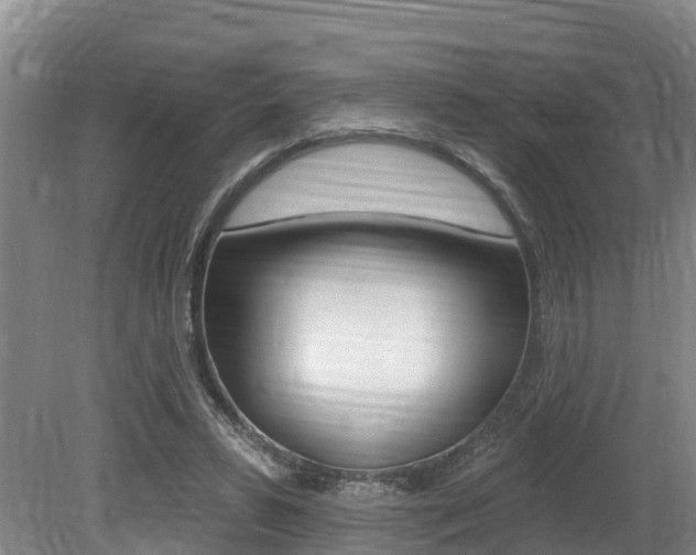 X0000079330399200611171001