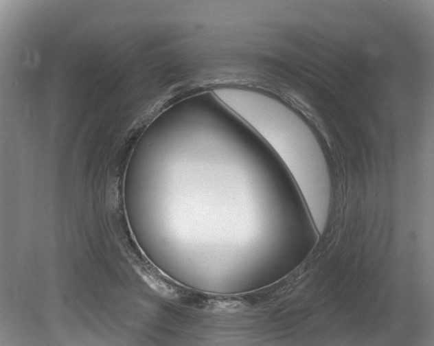 X0000079330401200611171001