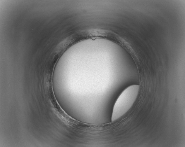 X0000079330402200611171001
