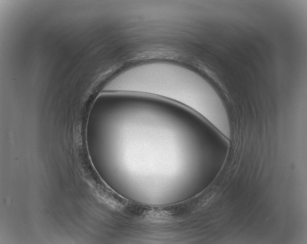 X0000079330403200611171001