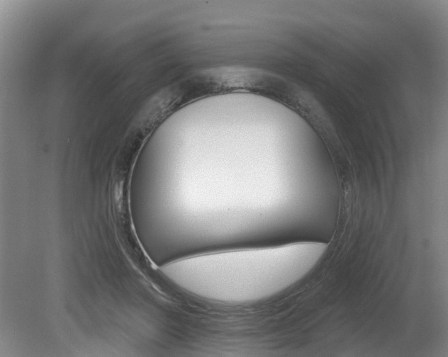 X0000079330406200611171001