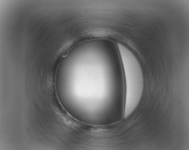 X0000079330407200611171001