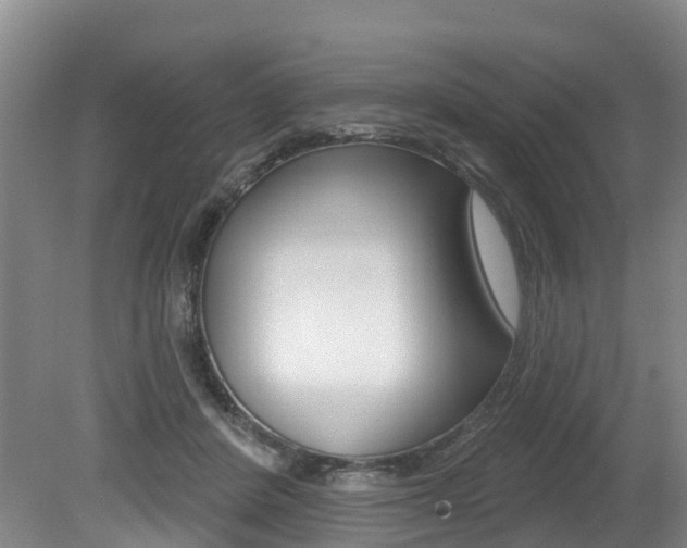 X0000079330408200611171001