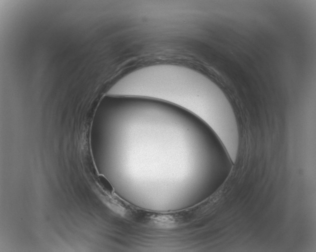 X0000079330409200611171001