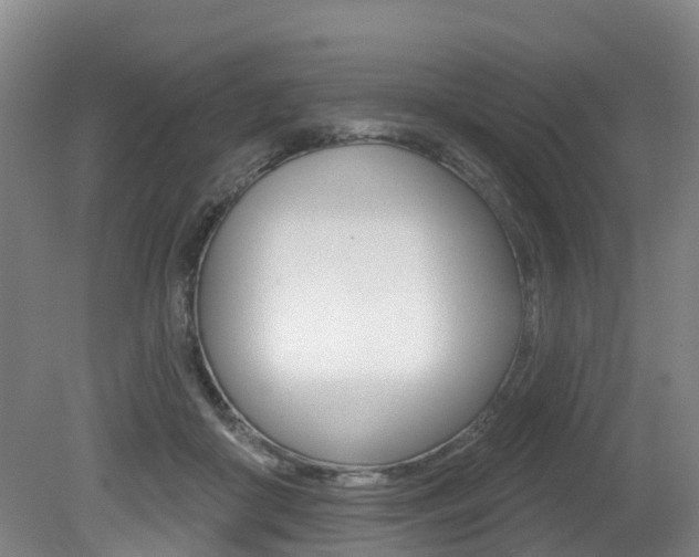 X0000079330410200611171001
