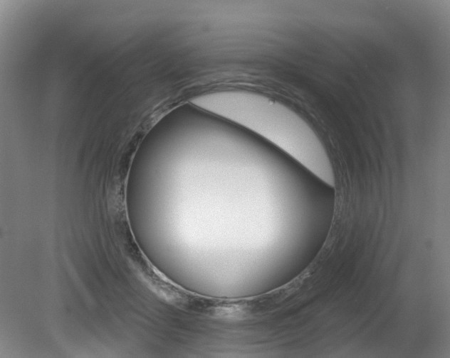 X0000079330411200611171001