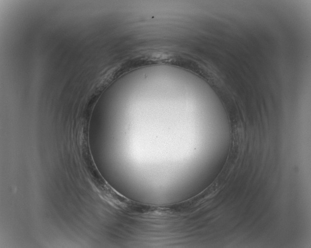 X0000079330412200611171001