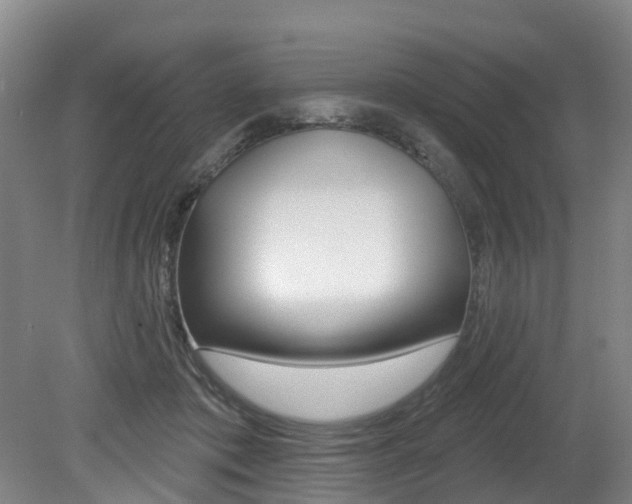 X0000079330413200611171001