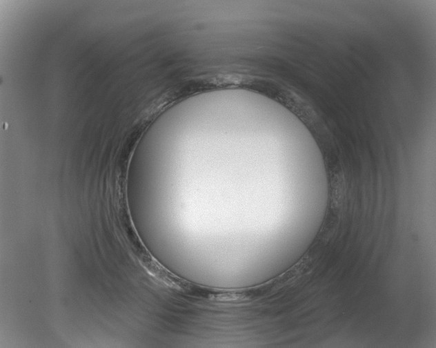 X0000079330414200611171001