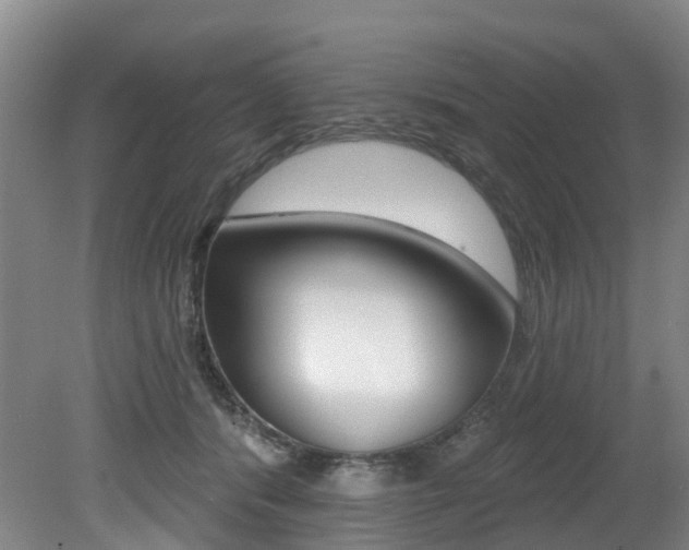 X0000079330416200611171001