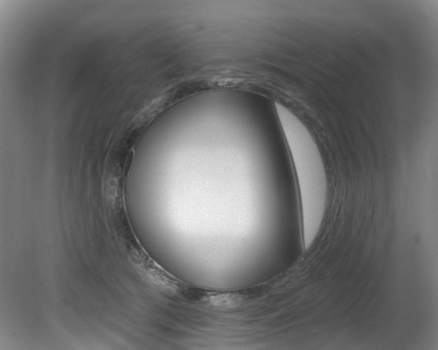 X0000079330417200611171001