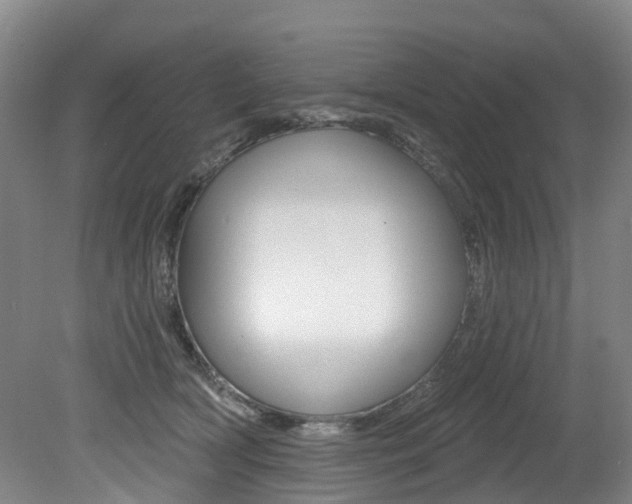X0000079330418200611171001