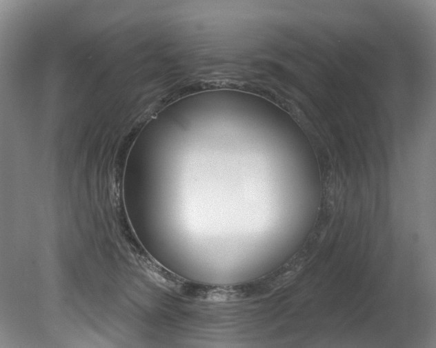 X0000079330420200611171001