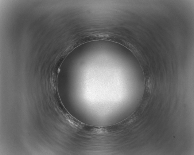 X0000079330424200611171001