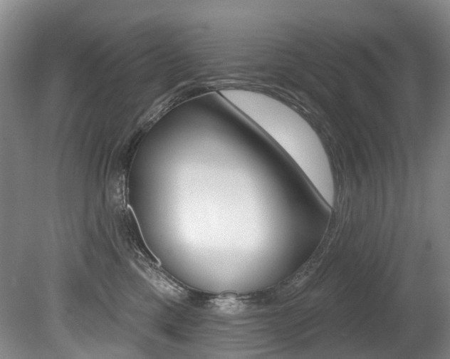 X0000079330425200611171001