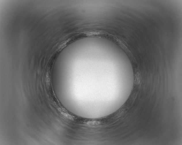X0000079330426200611171001