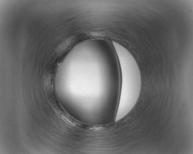 X0000079330428200611171001