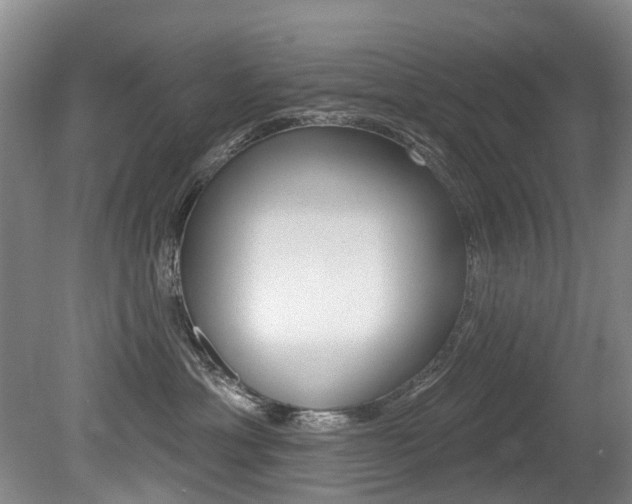 X0000079330429200611171001