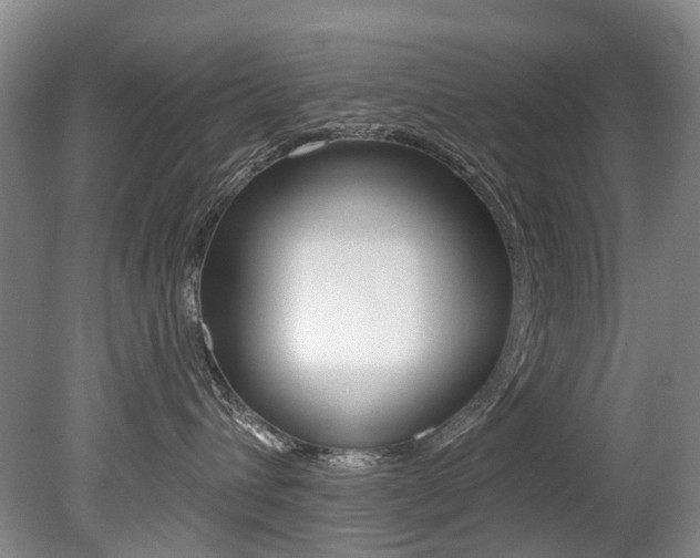 X0000079330432200611171001