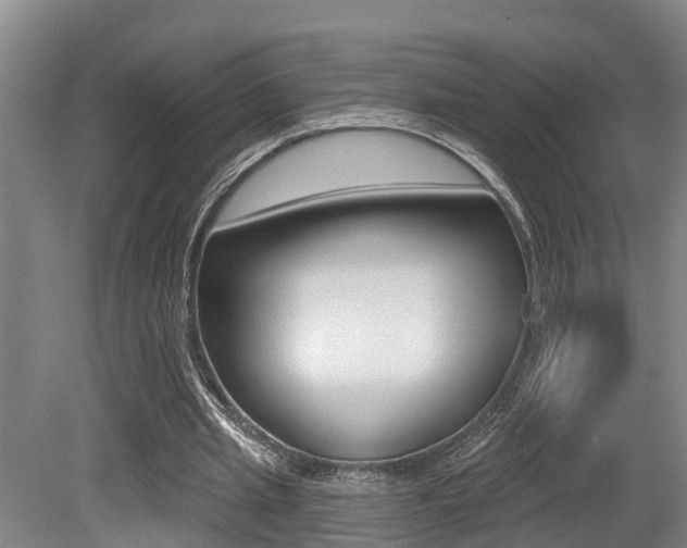 X0000079330437200611171000