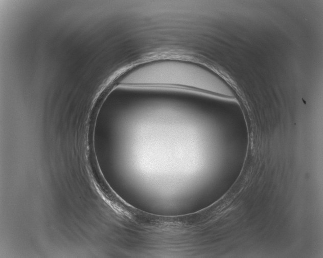 X0000079330438200611171000