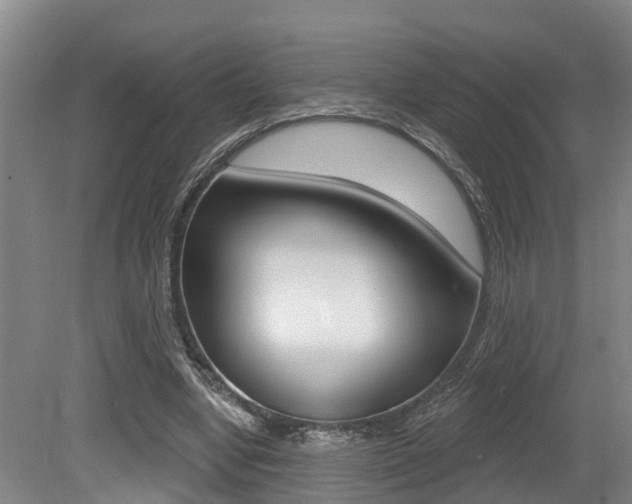 X0000079330442200611171000