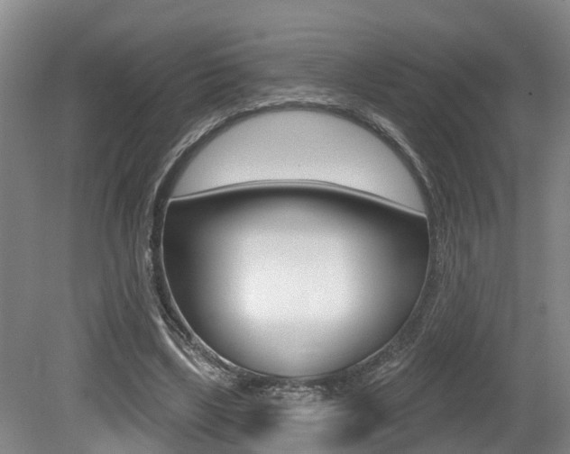 X0000079330443200611171000