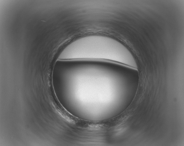 X0000079330450200611171000
