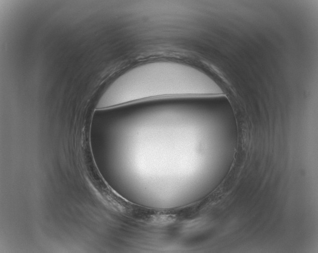 X0000079330451200611171000
