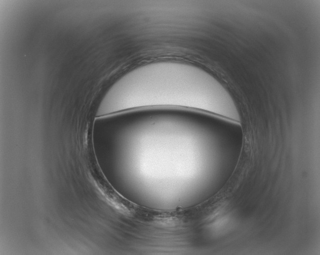 X0000079330454200611171000