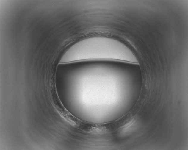 X0000079330455200611171000