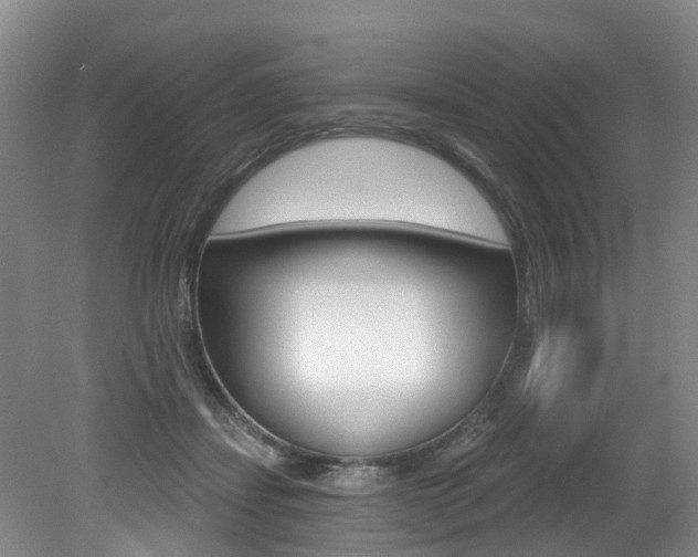 X0000079330459200611171001