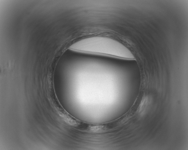X0000079330461200611171001
