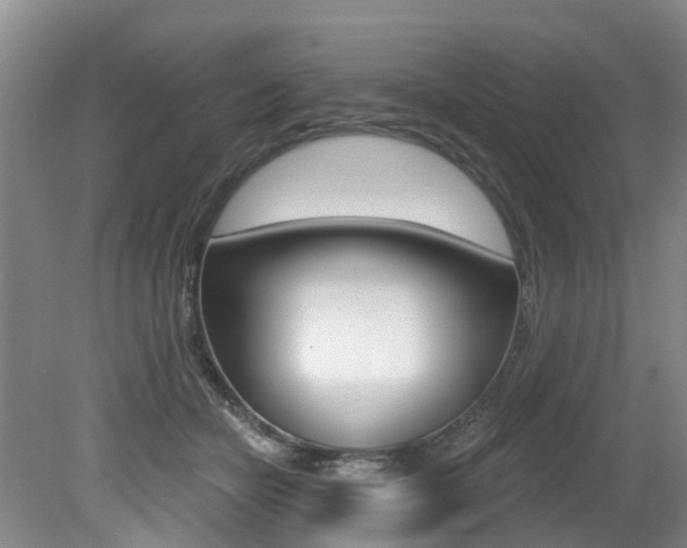 X0000079330462200611171001