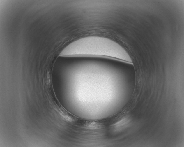 X0000079330467200611171001