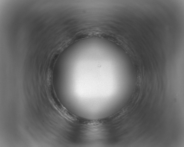 X0000079330468200611171001