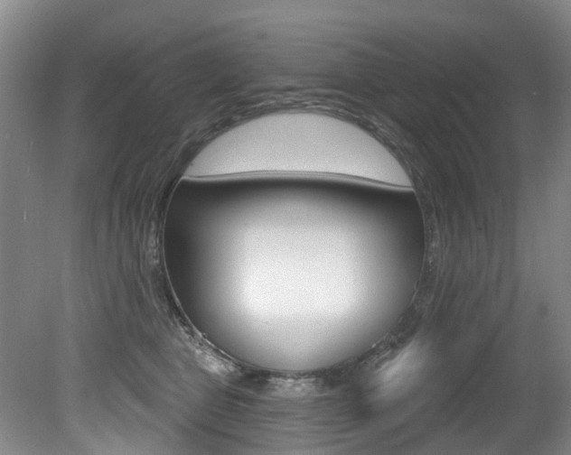 X0000079330469200611171001
