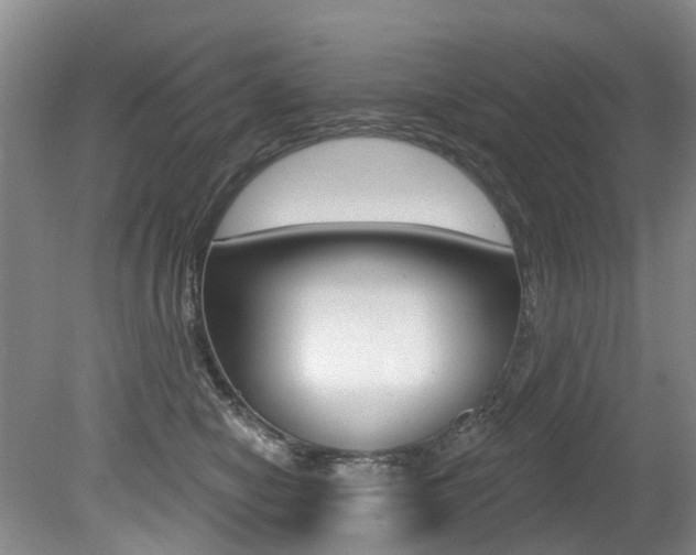 X0000079330470200611171001