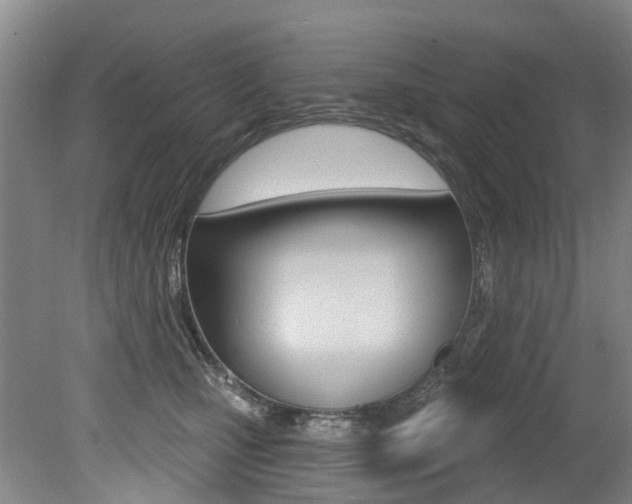 X0000079330471200611171001