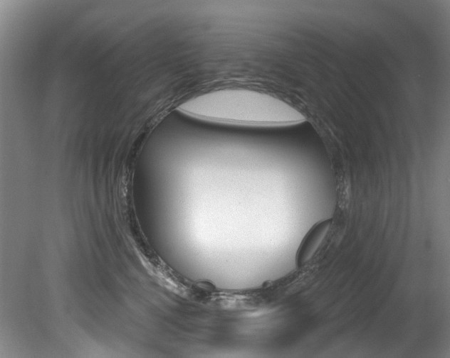 X0000079330472200611171001