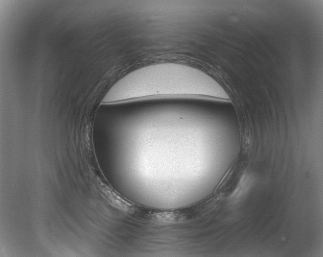 X0000079330473200611171001