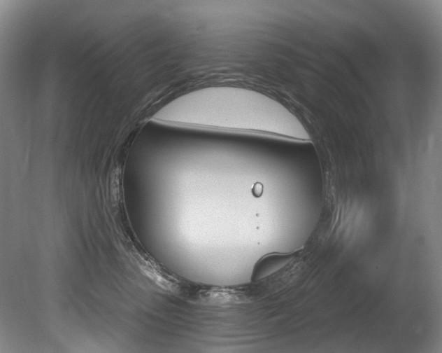 X0000079330475200611171001